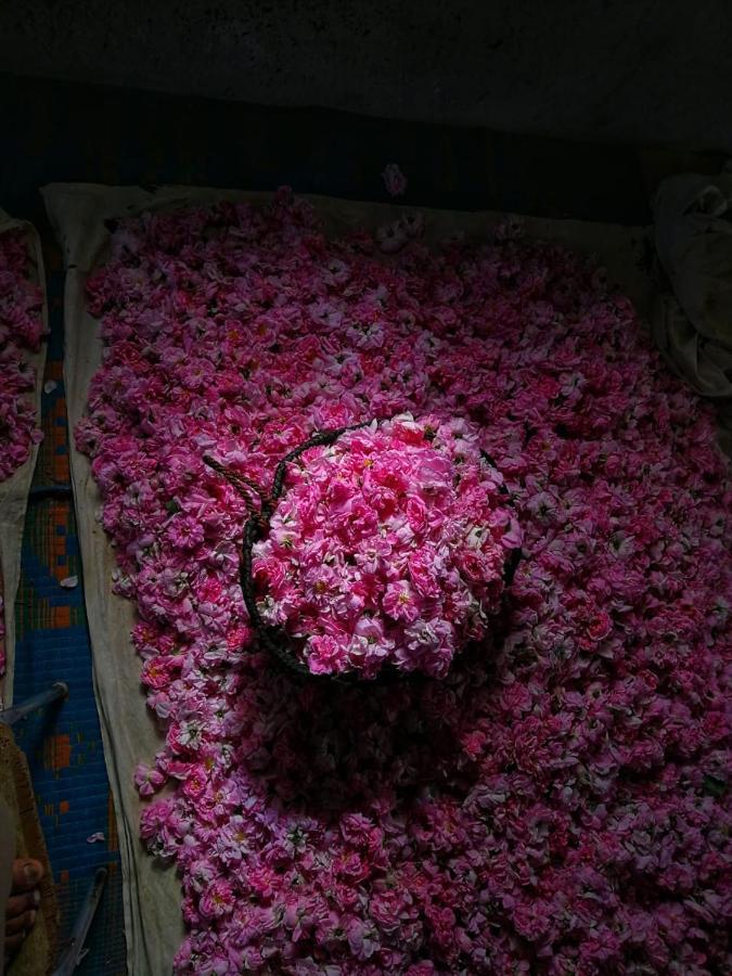 Roses House Oman Jabal al Akhdhar