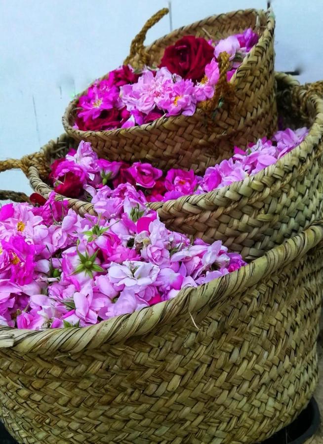 Roses House Oman Jabal al Akhdhar